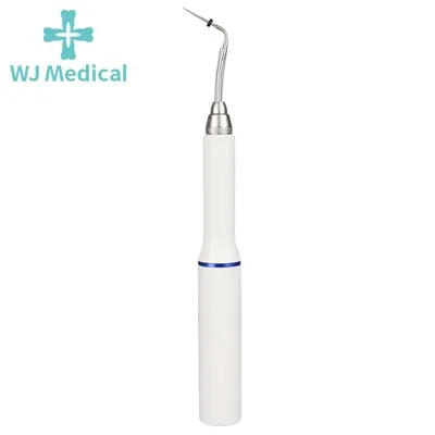 Dental Gutta Percha Tooth Gum Cutter